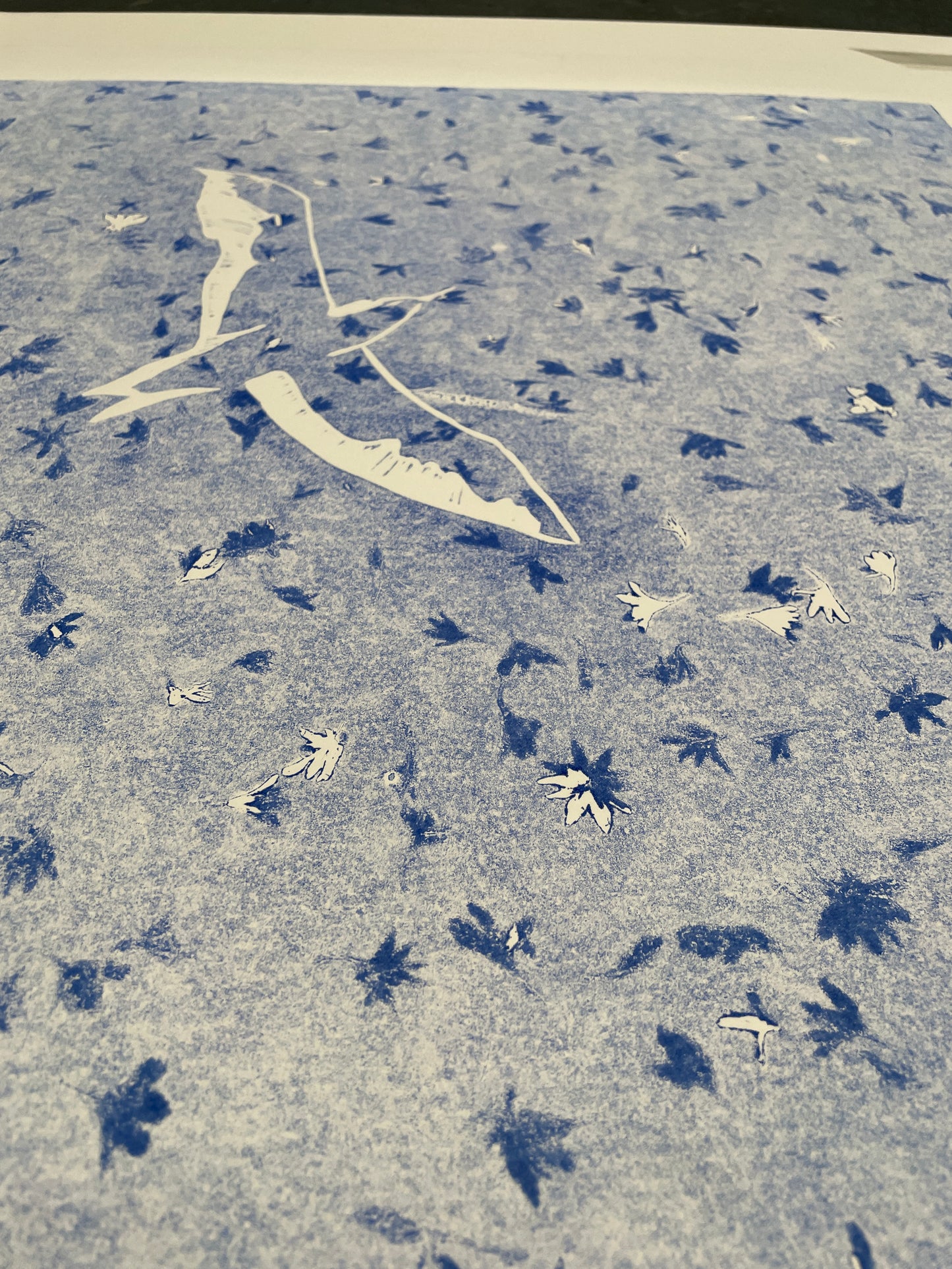 SARASOTA SEA GULL
