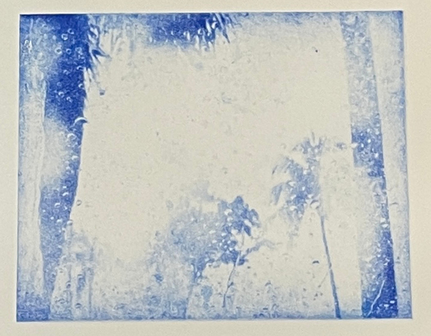Memories of Rain: Sarasota Series