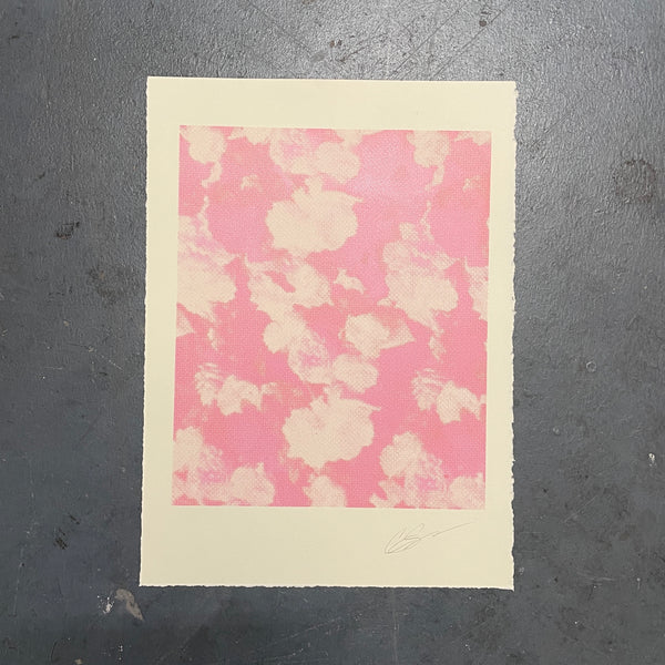 Roses Screen Print